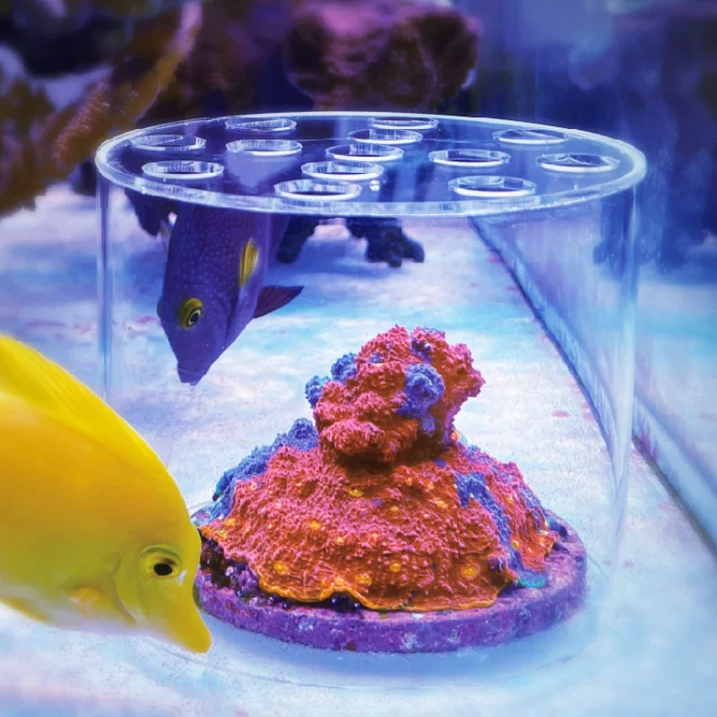 Aquarium Fish Trap - Vastocean Aquarium Arcylic Coral Feeder Hood