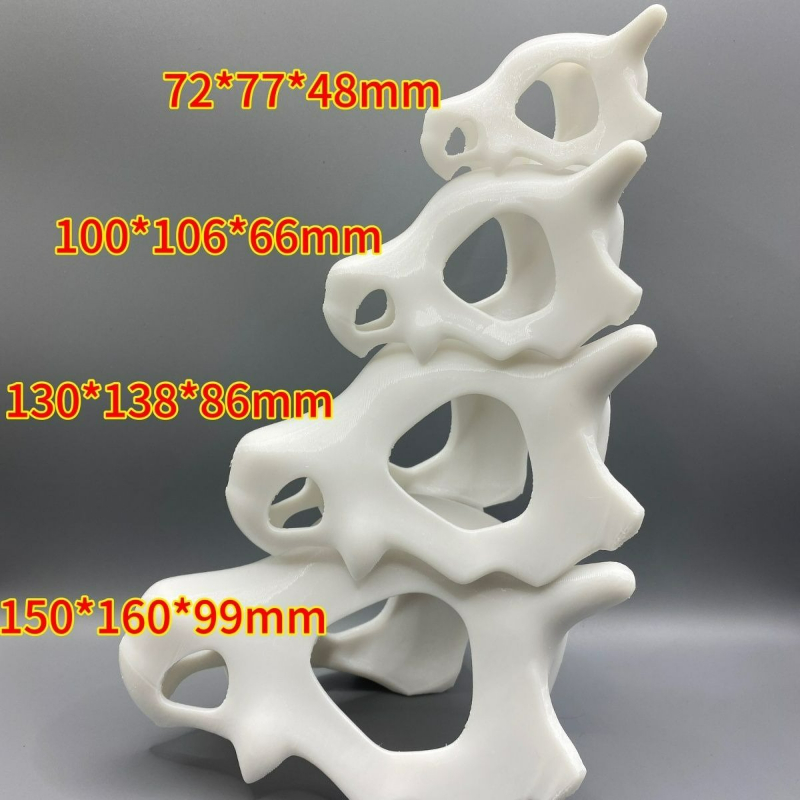 Aquarium Fish Cartoon - 3D Printed FIsh Shrimp Reptile Hiden
