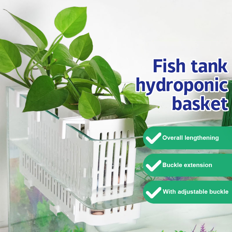 Aquarium Fish Photography - 【F】Fish Tank Hanging Planter Aquatic Plant