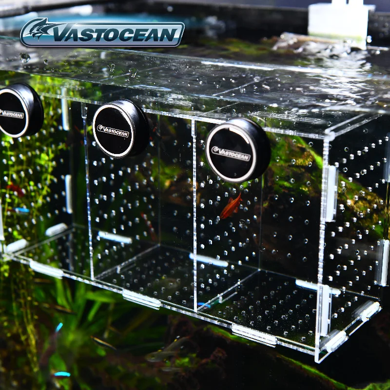 VASTOCEAN Fish Tank Magnetic C - Aquarium Fish Cave ulasan dan harga