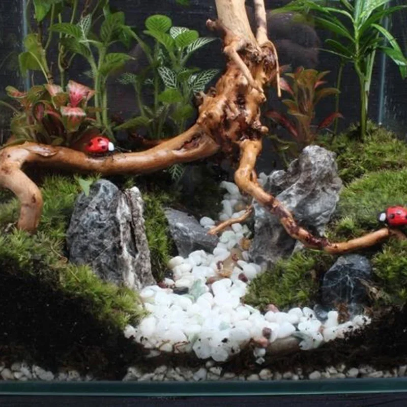 Natural Tree Trunk Driftwood A - Aquarium Fish Cartoon ulasan dan harga