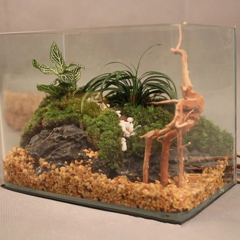 Natural Tree Trunk Driftwood A - Aquarium Fish Cartoon ulasan dan harga