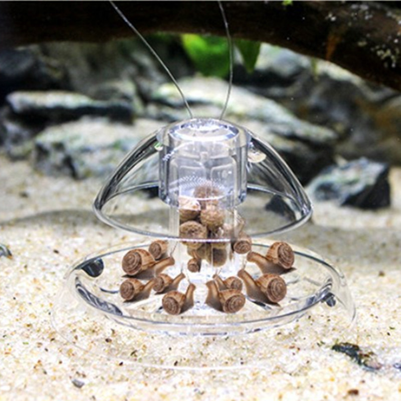 1PCS Fish Tank Aquarium Cleane - Aquarium Fish Trap ulasan dan harga