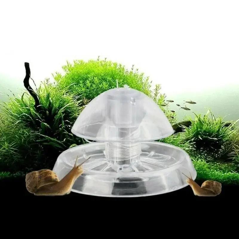2026 New 6/8CM Clear Plastic S - Aquarium Fish Photography ulasan dan harga