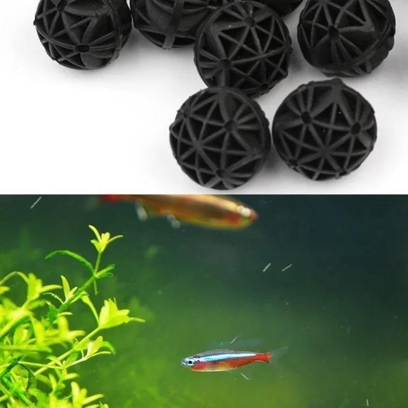 50Pcs 16mm Aquarium Bio Filter - Aquarium Fish Photography ulasan dan harga