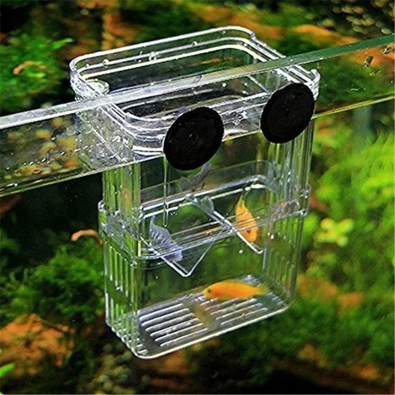 Transparent Fish Aquarium High - Aquarium Fish Cave ulasan dan harga
