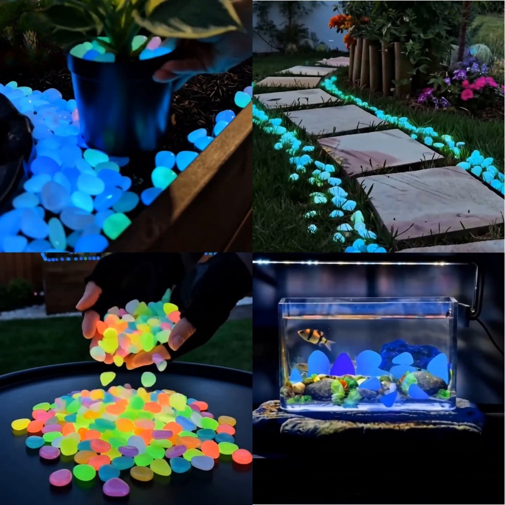 Colorful Glow In The Dark Lumi - Aquarium Fish Cartoon ulasan dan harga