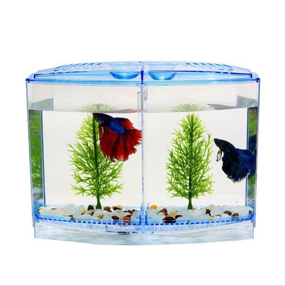 Transparent Betta Fish Tank, D - Aquarium Fish Cave ulasan dan harga