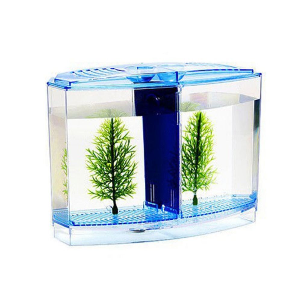 Transparent Betta Fish Tank, D - Aquarium Fish Cave ulasan dan harga