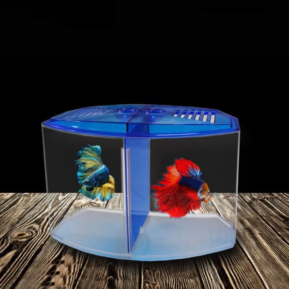 Transparent Betta Fish Tank, D - Aquarium Fish Cave ulasan dan harga
