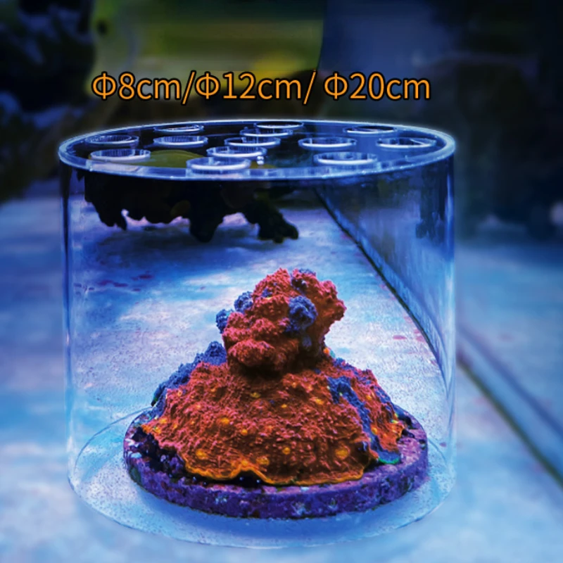 Vastocean Aquarium Arcylic Cor - Aquarium Fish Trap ulasan dan harga