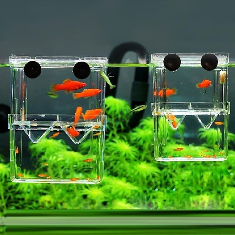 Multifunctional Fish Aquarium  - Aquarium Fish Cave ulasan dan harga