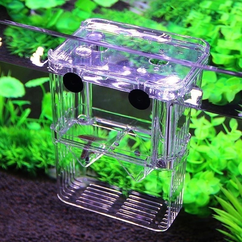 Multifunctional Fish Aquarium  - Aquarium Fish Cave ulasan dan harga