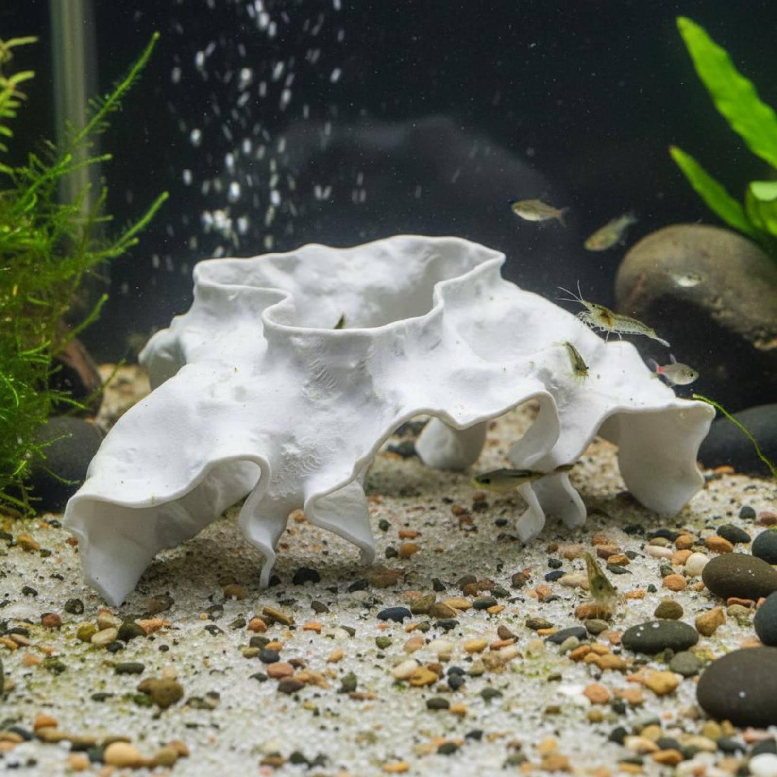 Aquarium Cave Decoration Obser - Aquarium Fish Cave ulasan dan harga