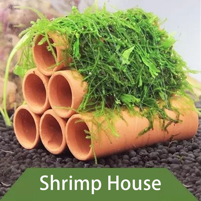 Clay Aquarium Decoration Fish  - Aquarium Fish Cartoon ulasan dan harga