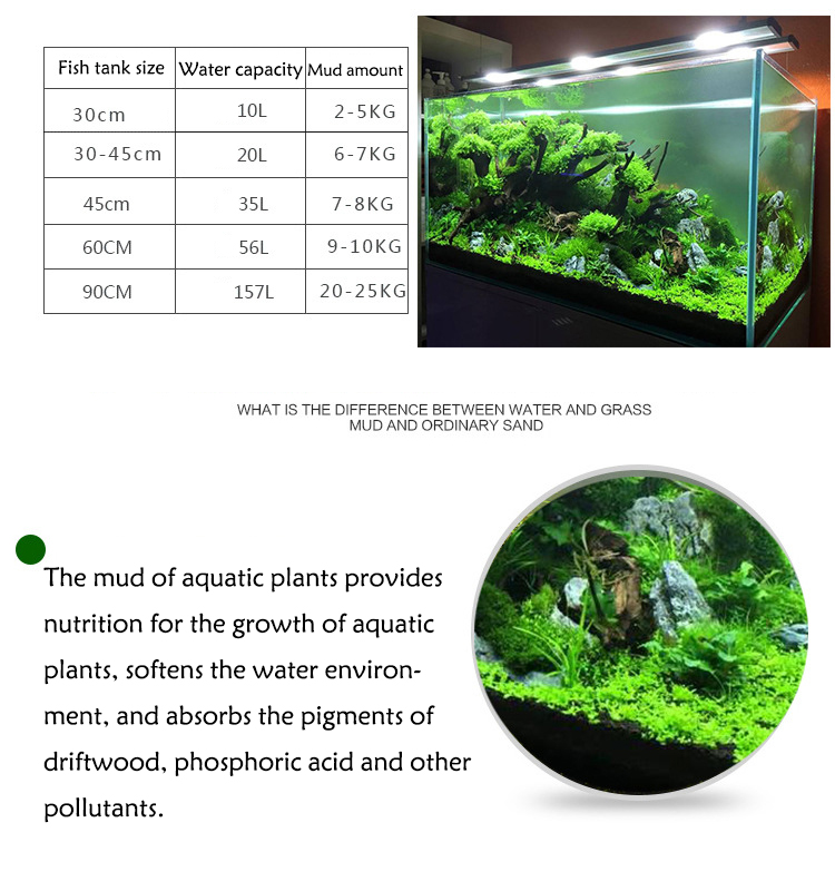 Aquarium Plant Seeds Soil Fish - Aquarium Fish Photography ulasan dan harga