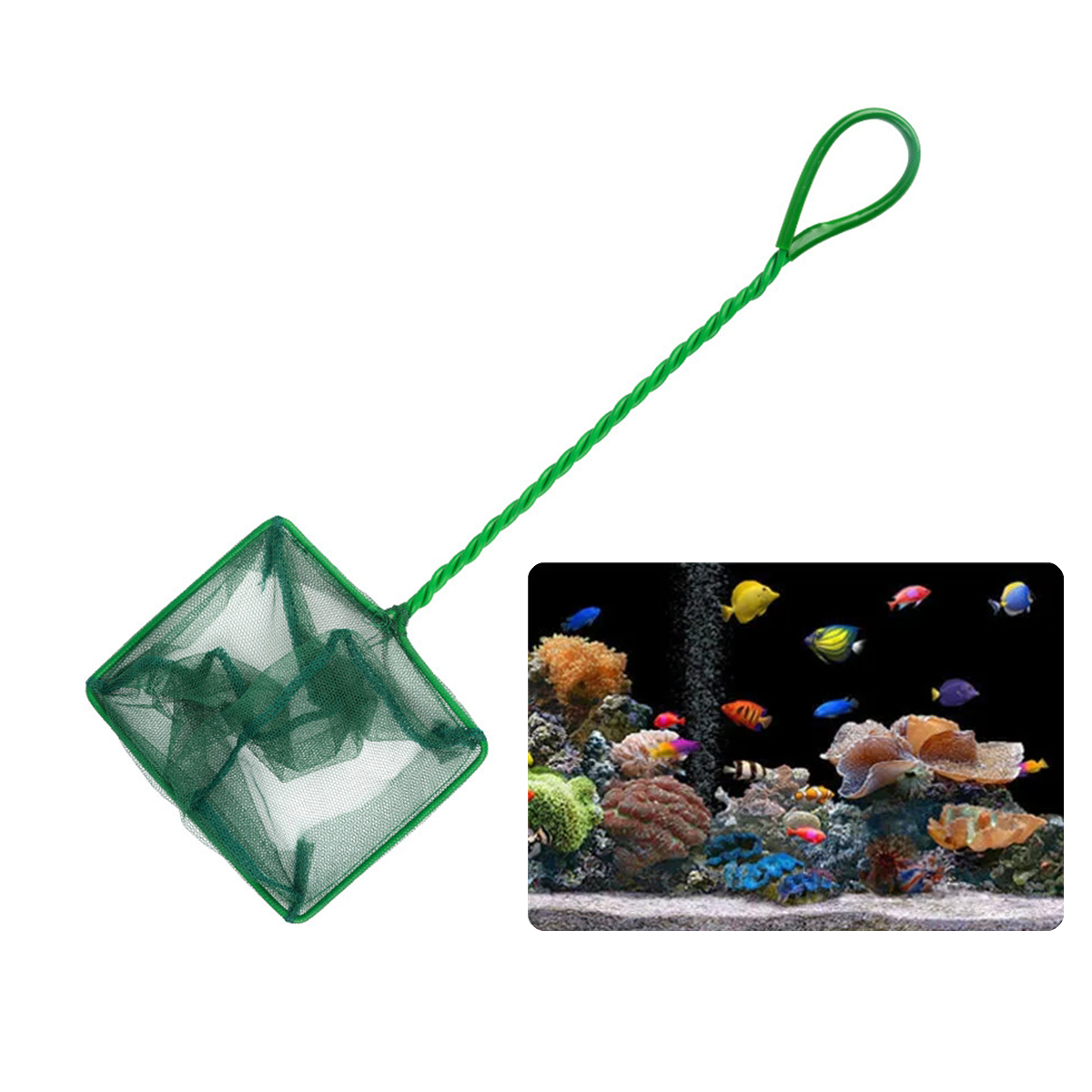 3~10 Inch Portable Nylon Green - Aquarium Fish Trap ulasan dan harga