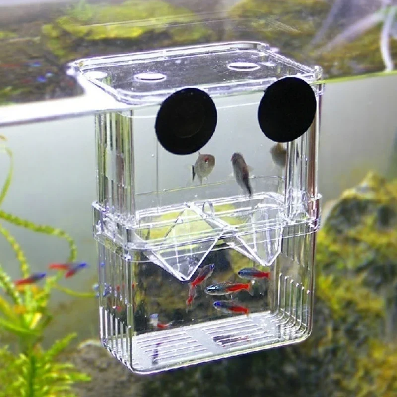 Multifunctional Fish Aquarium  - Aquarium Fish Cave ulasan dan harga