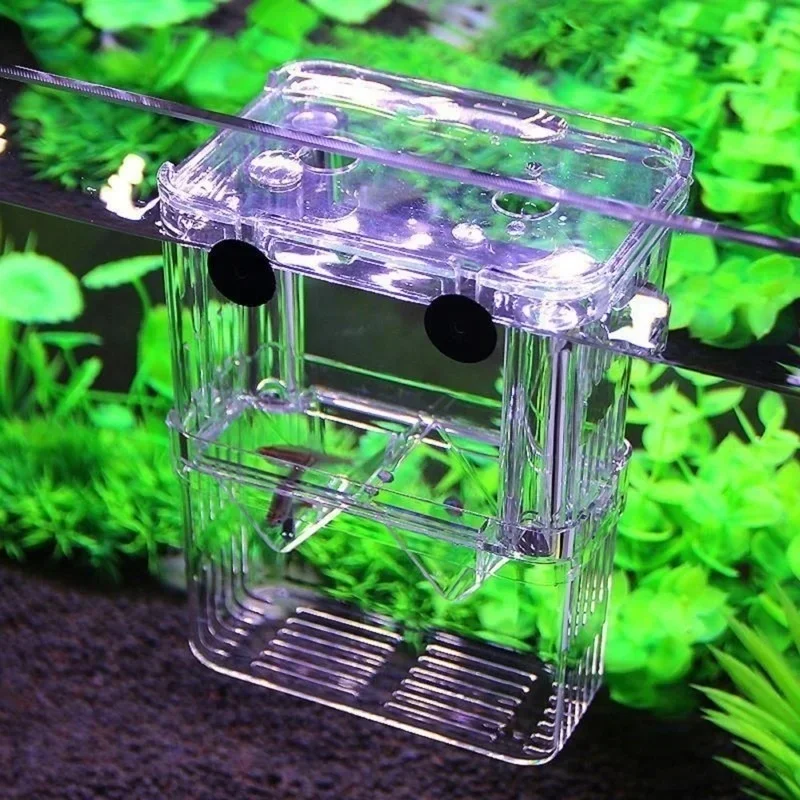 Multifunctional Fish Aquarium  - Aquarium Fish Cave ulasan dan harga