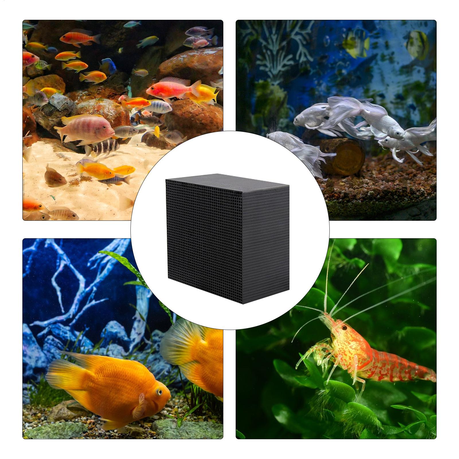 Aquarium Water Purifier Cube U - Aquarium Fish Cave ulasan dan harga