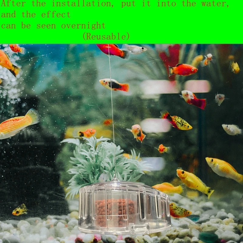 Aquarium Plant Snail Trap Catc - Aquarium Fish Trap ulasan dan harga