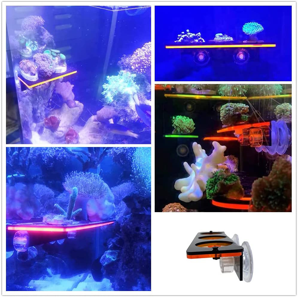 Fluorescent Coral Frag Plug Br - Aquarium Fish Cartoon ulasan dan harga
