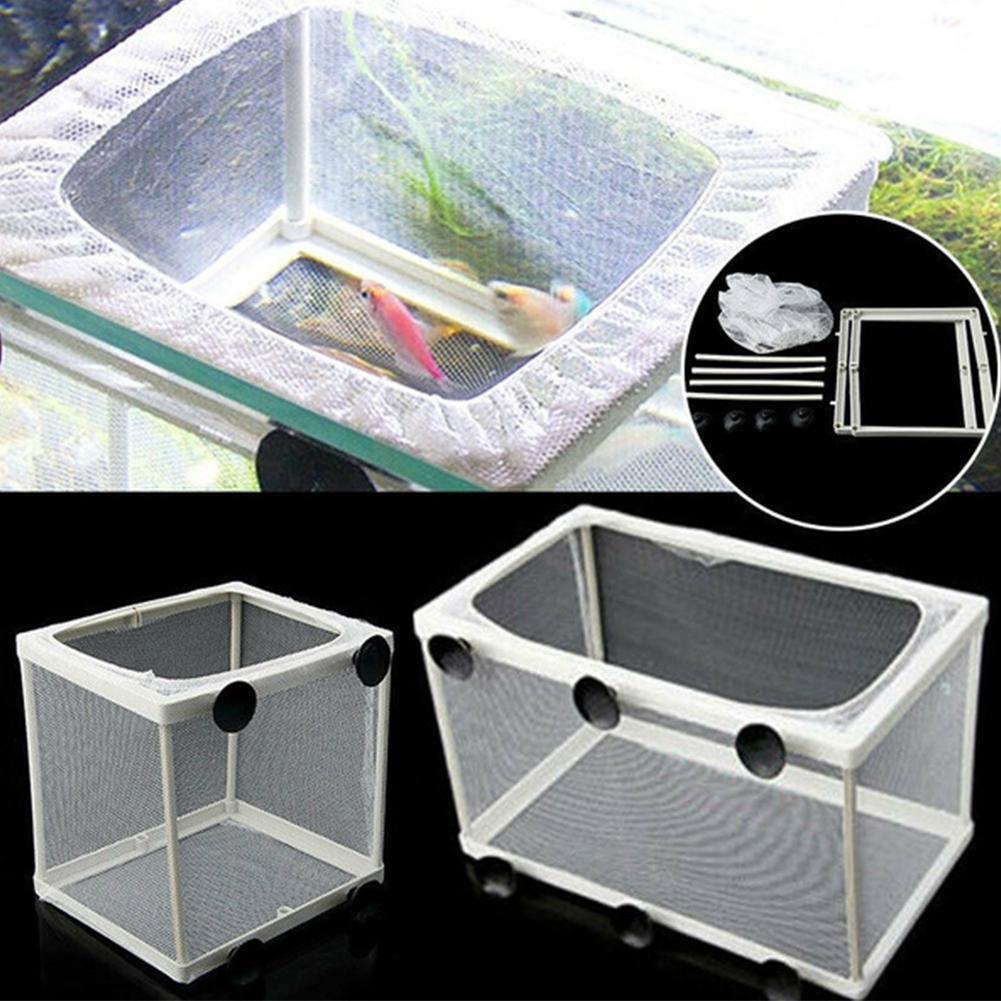 Hatchery Isolation Box for Aqu - Aquarium Fish Trap ulasan dan harga