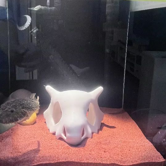3D Printed FIsh Shrimp Reptile - Aquarium Fish Cartoon ulasan dan harga