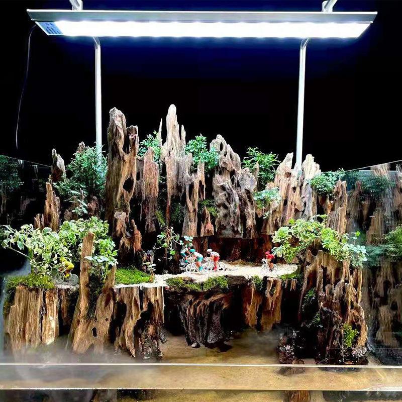△ Shrimp Wood Aquarium Decor,  - Aquarium Fish Cartoon ulasan dan harga