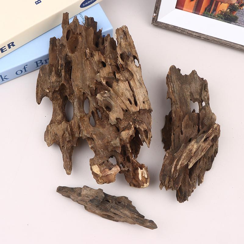 △ Shrimp Wood Aquarium Decor,  - Aquarium Fish Cartoon ulasan dan harga