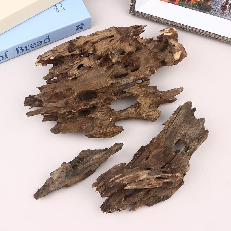 △ Shrimp Wood Aquarium Decor,  - Aquarium Fish Cartoon ulasan dan harga